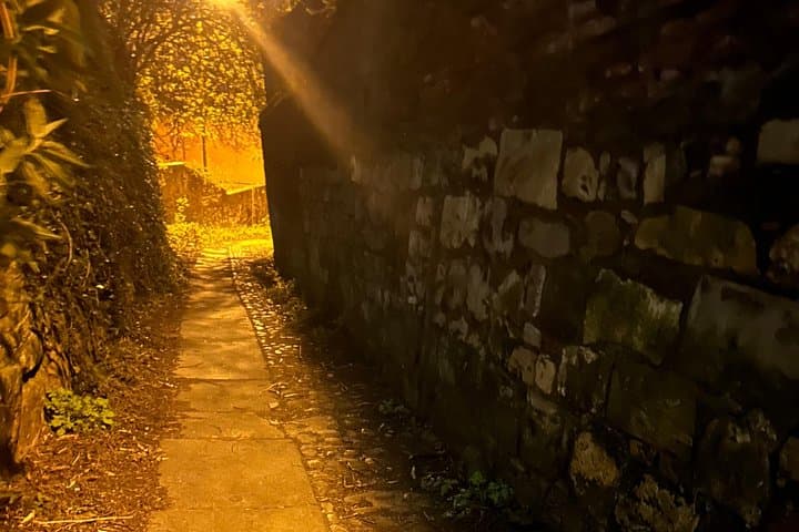 York's Forbidden Chronicles- Terrors from the dark side.