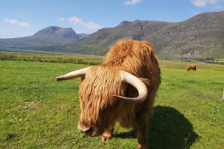 Glasgow: The Ultimate Outlander Privately Guided Day Tour