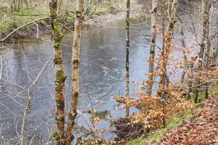 Birks of Aberfeldy: Highlands and the Tay Self Guided Audio Tour