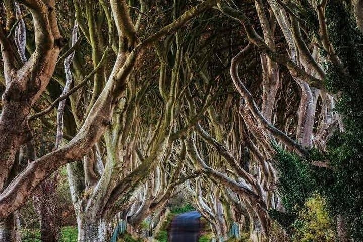 Dublin to Belfast & Giant’s Causeway – Private Tour