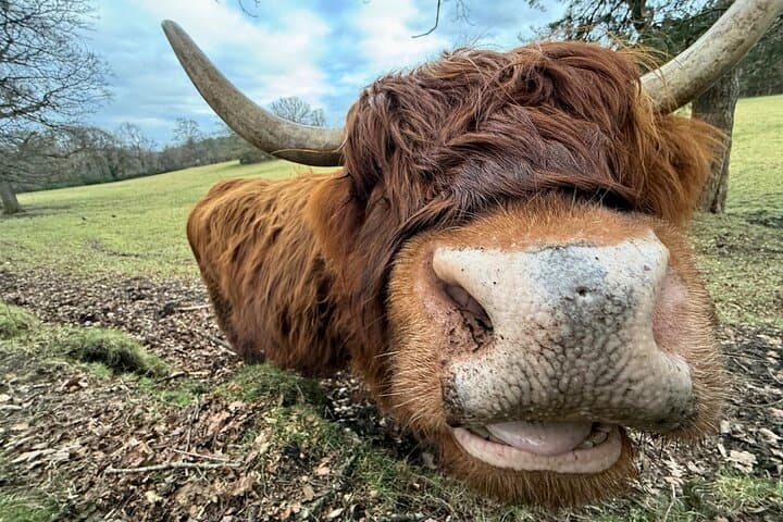 Meet the locals!