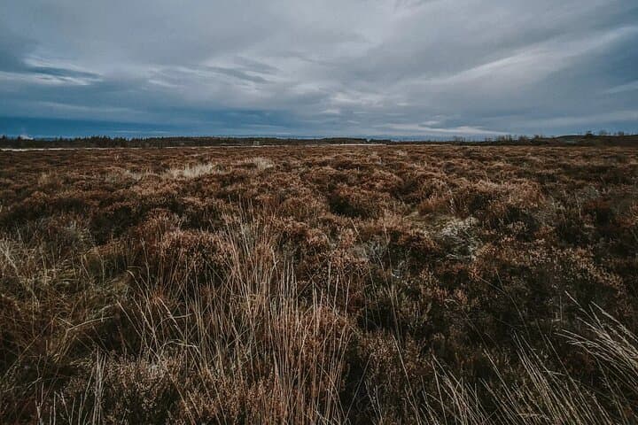In the Jacobites' Footsteps: A Culloden Battlefield Audio Tour