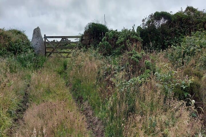 Stones of Tregeseal: An Audio Tour of West Cornwall’s Prehistory