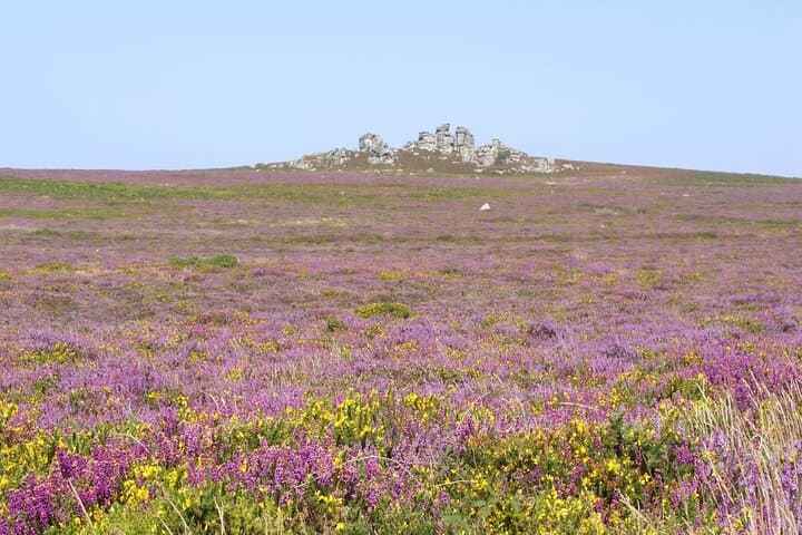 Stones of Tregeseal: An Audio Tour of West Cornwall’s Prehistory