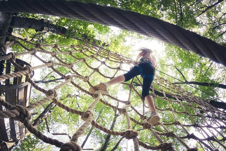 High Ropes and Adventure Tree Top Experience