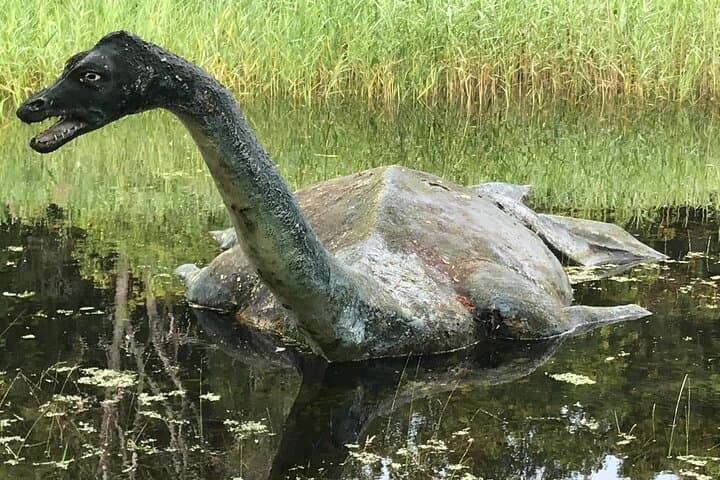The world famous and very elusive and shy "Nessie"