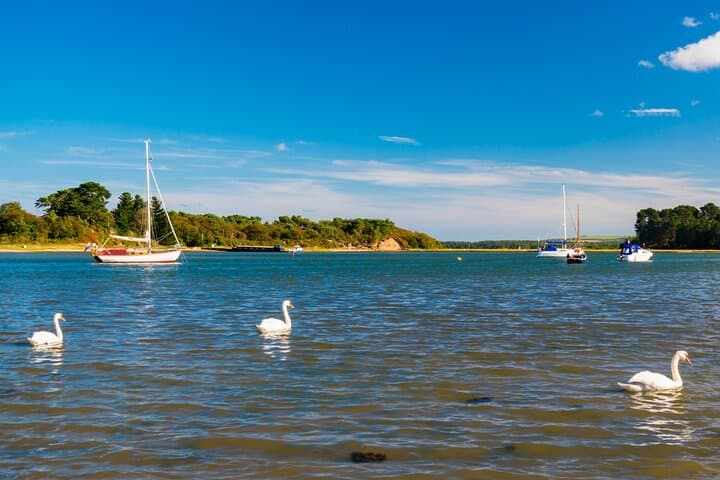 Festive Harbour Cruise with Mulled Wine and Mince Pies