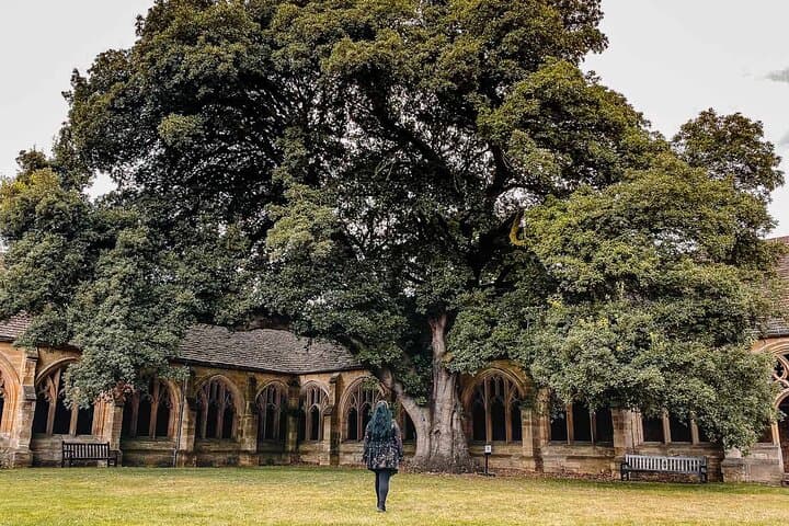 Oxford University Tour (10 attractions)