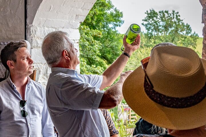 Vineyard Tour