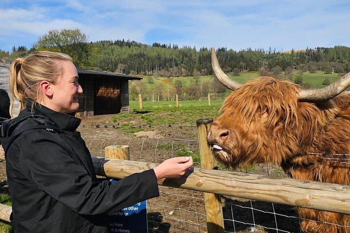 Edinburgh: 3-Day Speyside Whisky Adventure with Private Guide