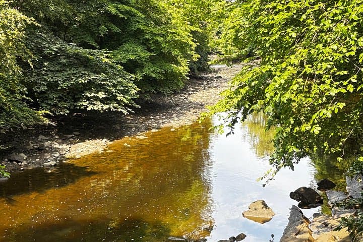 Morning Edinburgh Tour Hidden Gems tour: A four-Hour Scenic Drive