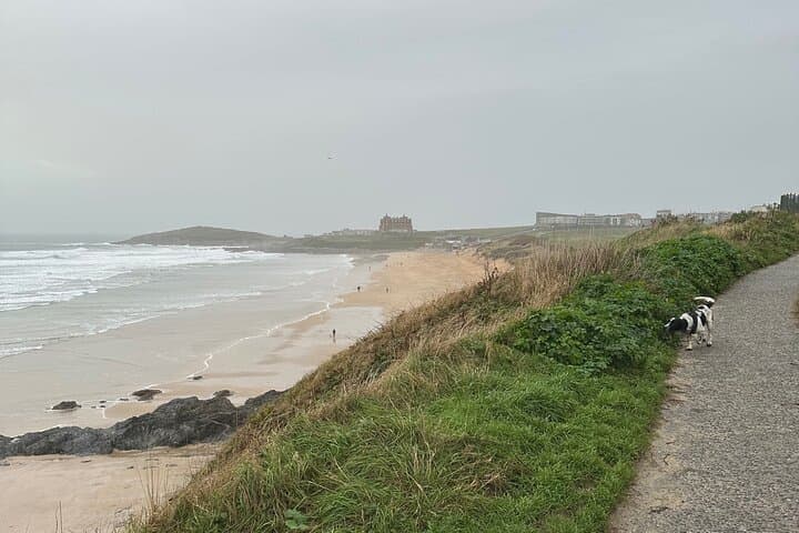 Private Full Day Tour of Cornwall Tintagel, St Ives and More
