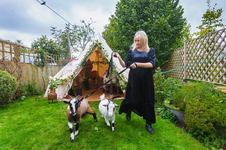 Pygmy Goat Walk