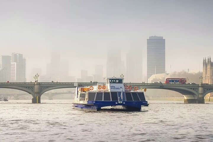 Thames Sightseeing Cruise with Flexible Time and Departure Pier