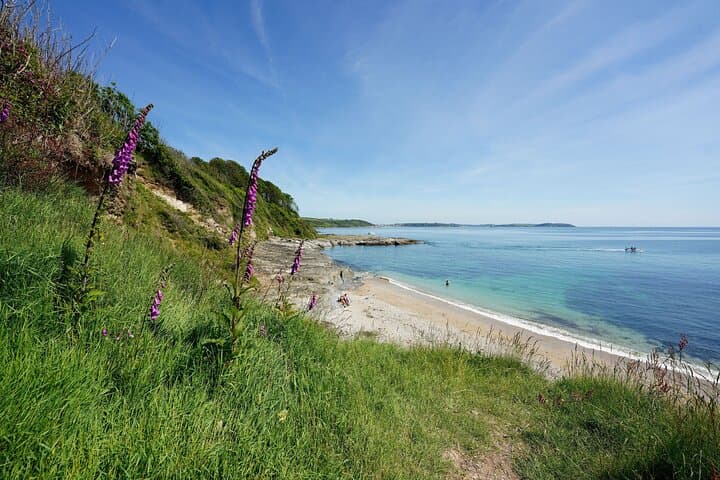 Falmouth (UK) Afternoon Cream Tea Tour with St Michaels Mount