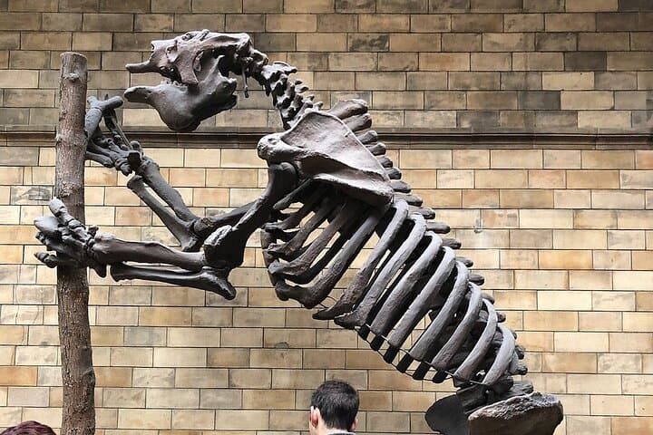 Giant Land Sloth