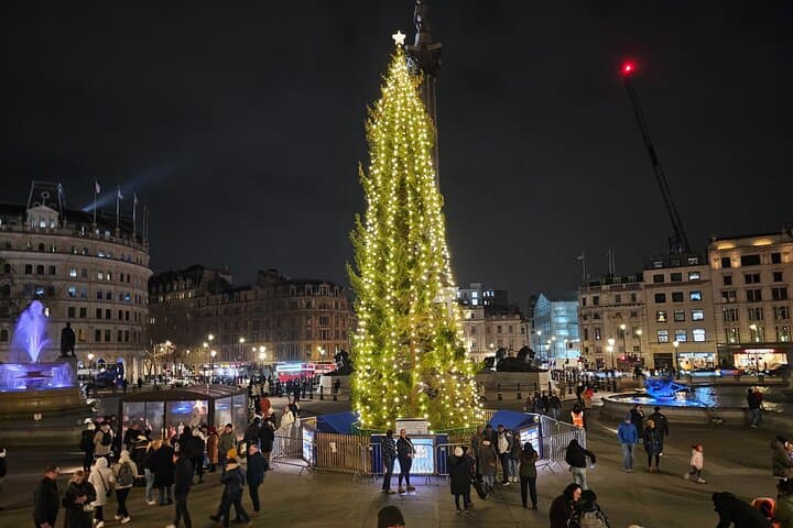 Norwegian Christmas Tree