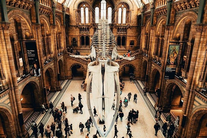 London Natural History Museum Entry, Audio Tour & Hyde Park Walk