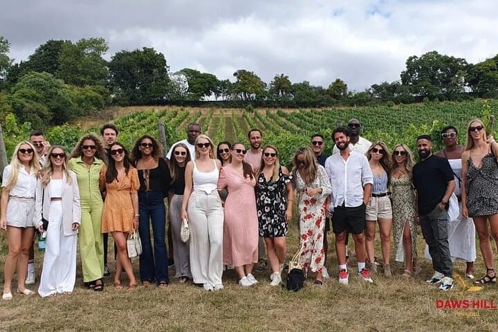 Chilterns Blue Line Wine Tour Explore Boutique Vineyards