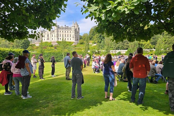 Falcon show at Dunrobin grounds