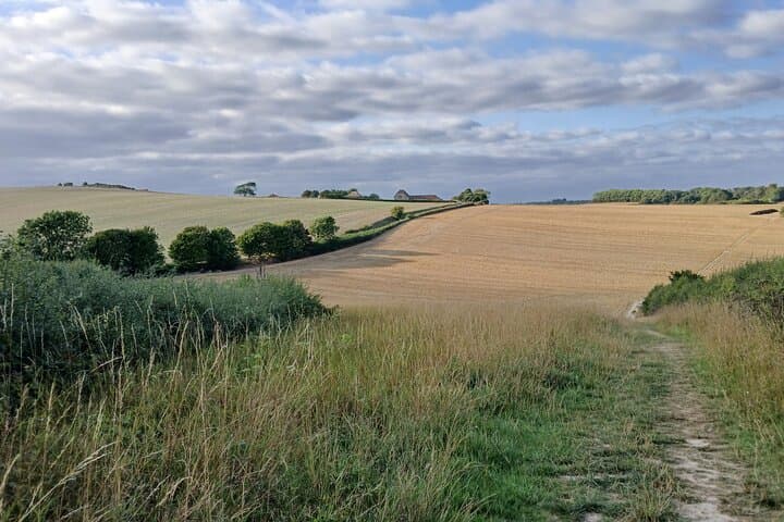 Cross country to see the paintings in Berwick village church