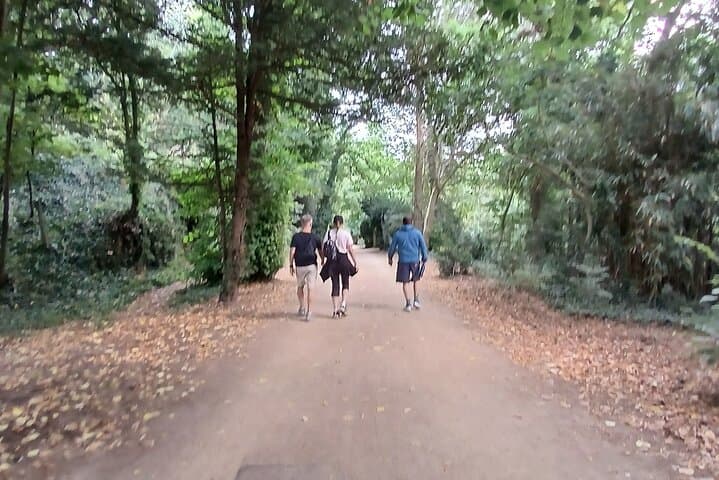 Undulating trails