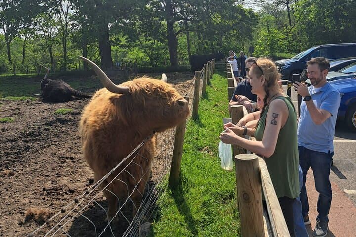 Edinburgh: 4-Day Privately Guided Islay Whisky Tour