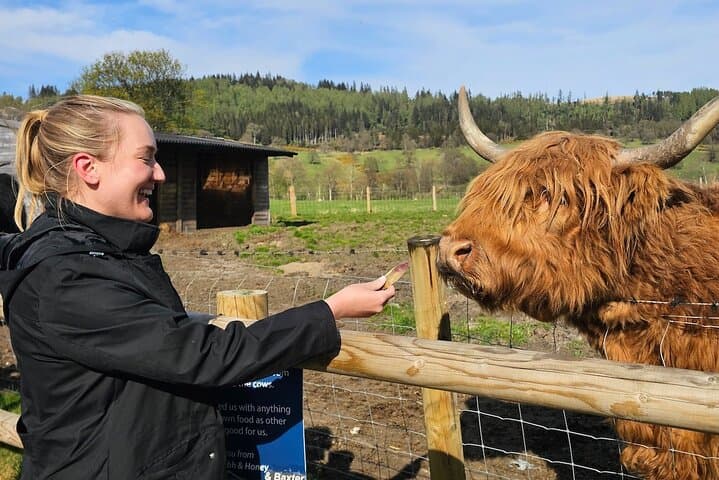 Edinburgh: 4-Day Privately Guided Islay Whisky Tour