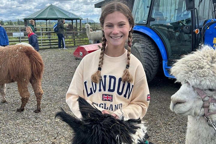 Highland Cows, Walk Alpacas, Scottish Wildlife Centre and Kelpies