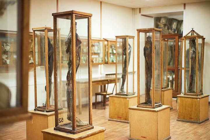 Surgeons' Hall Museums Private Guided Tour with Tickets