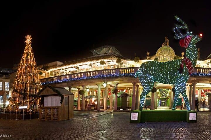Christmas Light Night Tour