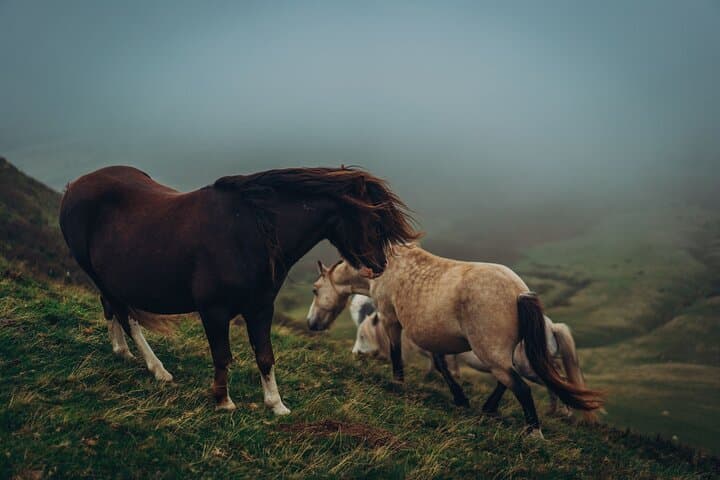 Bannau Brycheiniog Brecon Beacons Hay on Wye Tour