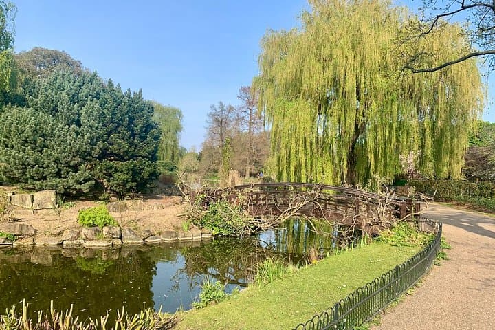 A Self-Guided Audio Tour of Primrose Hill and Regents Park