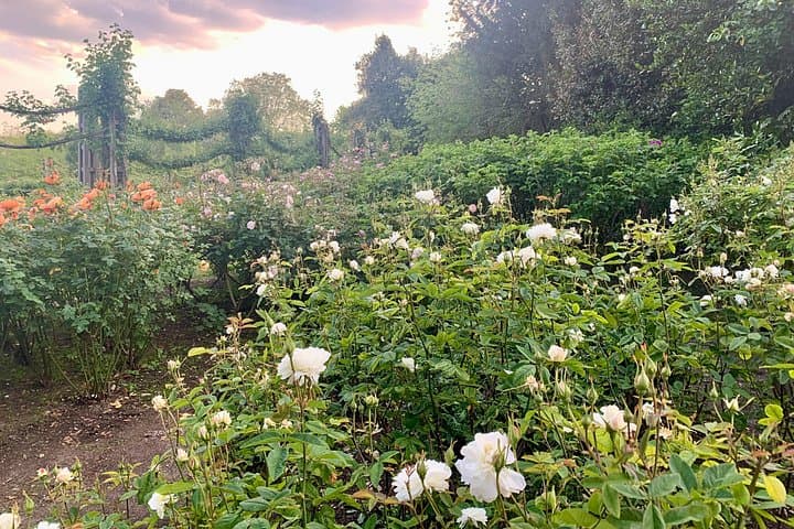 A Self-Guided Audio Tour of Primrose Hill and Regents Park