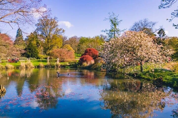 The lake at Wakehurst