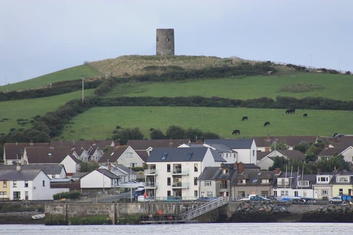 Belfast to Strangford Lough Private Coastal Day Tour