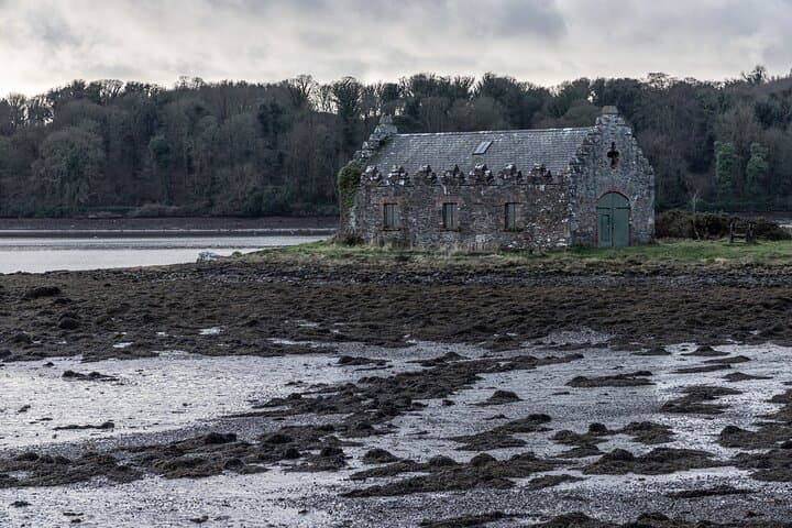 Belfast to Strangford Lough Private Coastal Day Tour