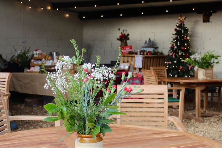 Christmas with the Alpacas at Wetley Moor Alpacas