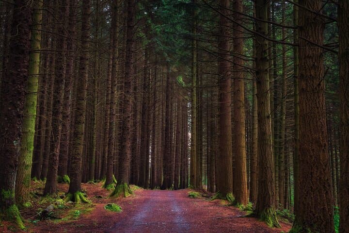From Belfast: Private Mourne Mountains Scenic Day Tour
