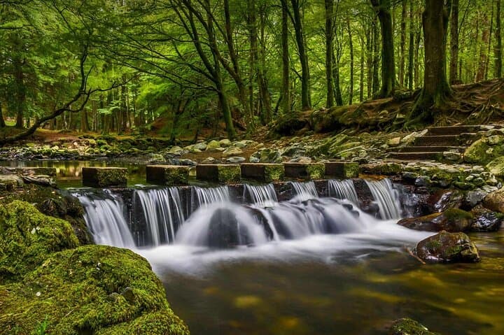 From Belfast: Private Mourne Mountains Scenic Day Tour