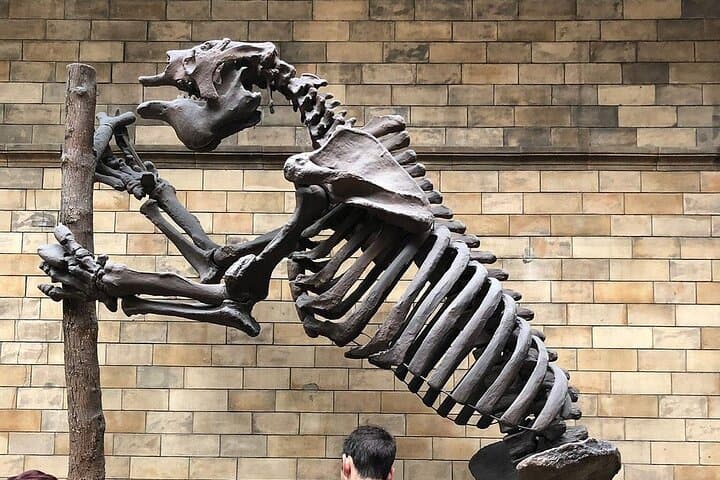 Giant Land Sloth
