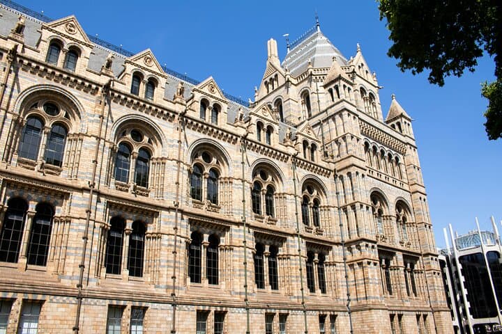 The Museum