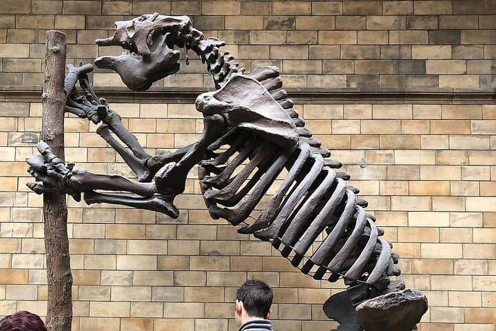 Giant Land Sloth
