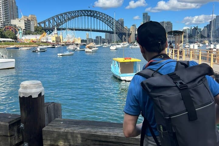 Sydney Gems Private Tour & Pick up & Drop off