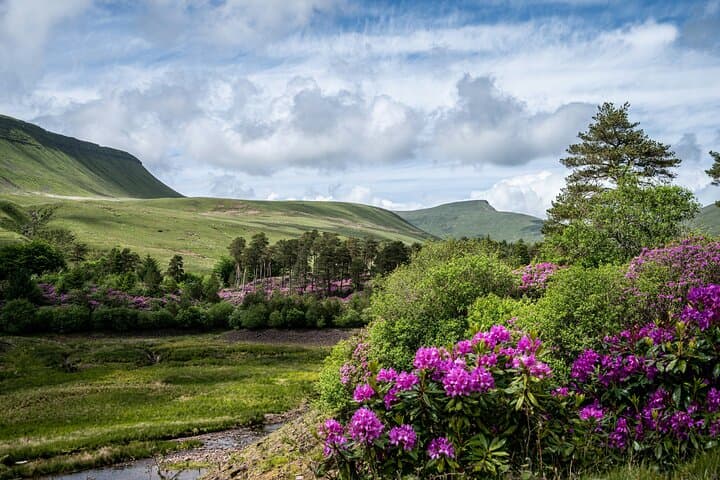 Castles and Mountains of Wales Small Group Day Tour from Bristol