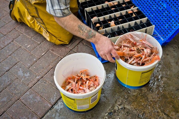 Fresh seafood
