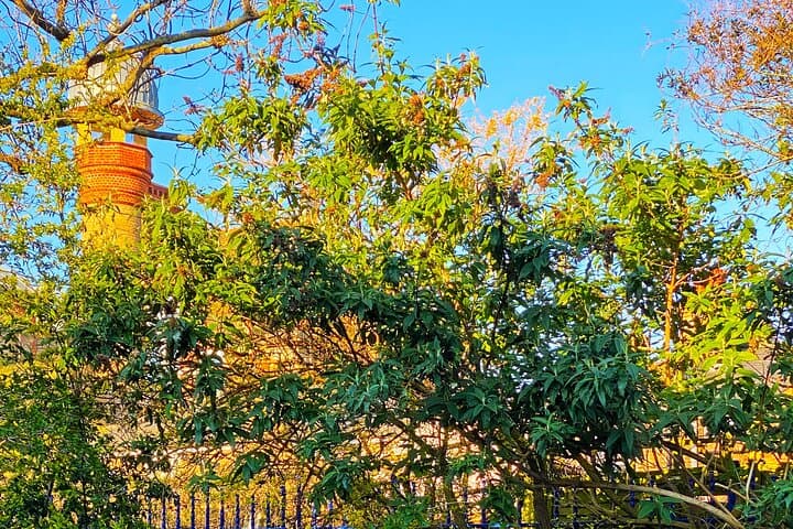 London's Peckham: Arty Adventure & Multicultural Mystery