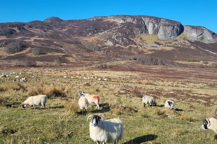 Inverness Half Day Tour in Scottish Highlands