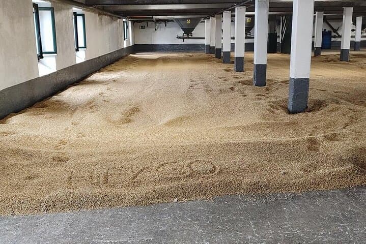 Malting floor with barley