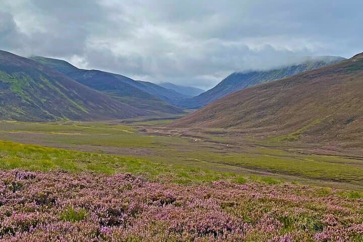 Into the Wild Scottish Highlands Walking Tour from Inverness